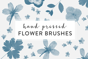 Pressed Flowers Photoshop Brushes