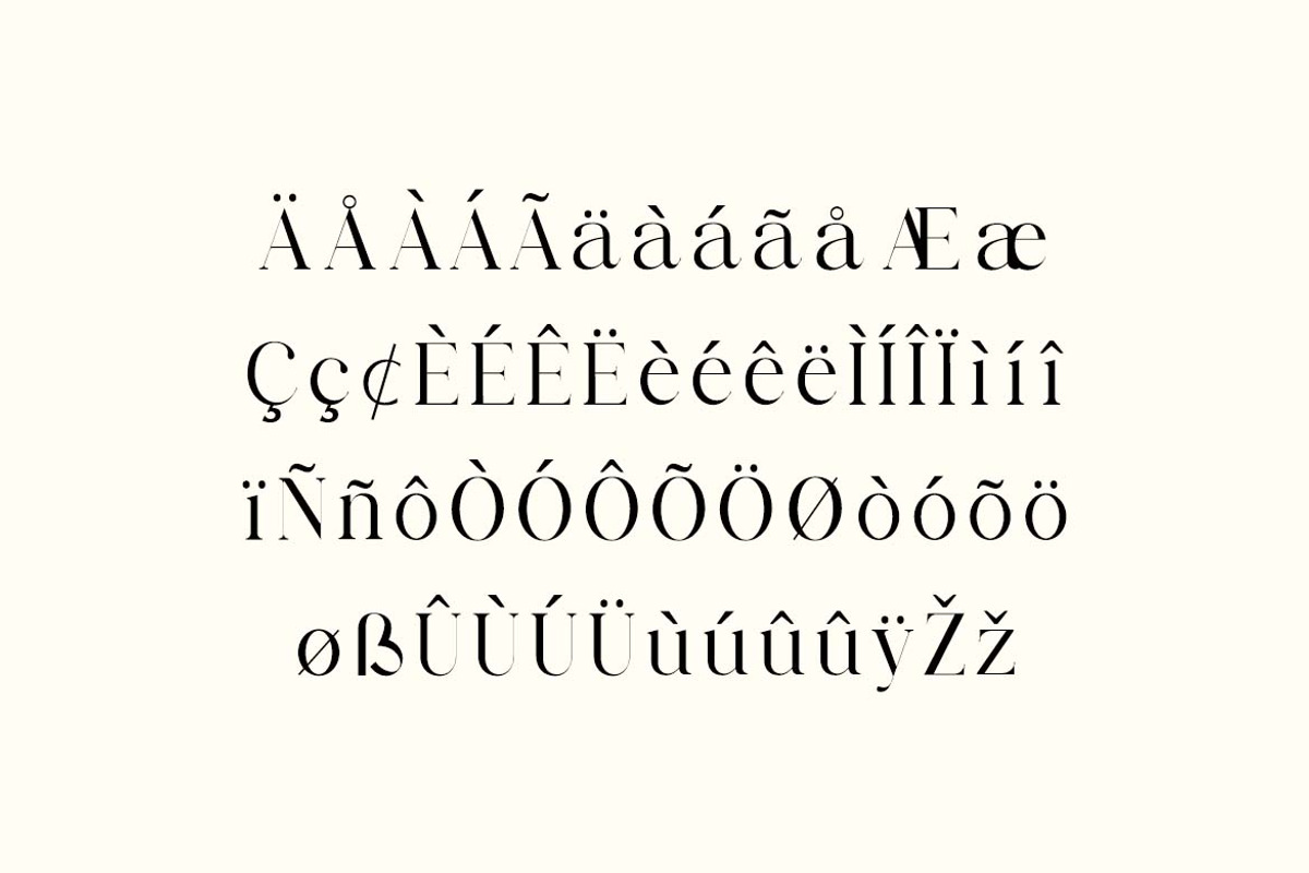 Metropolitan Parliament Family Serif, a Serif Font by UICreative (Photo 2 of 13)