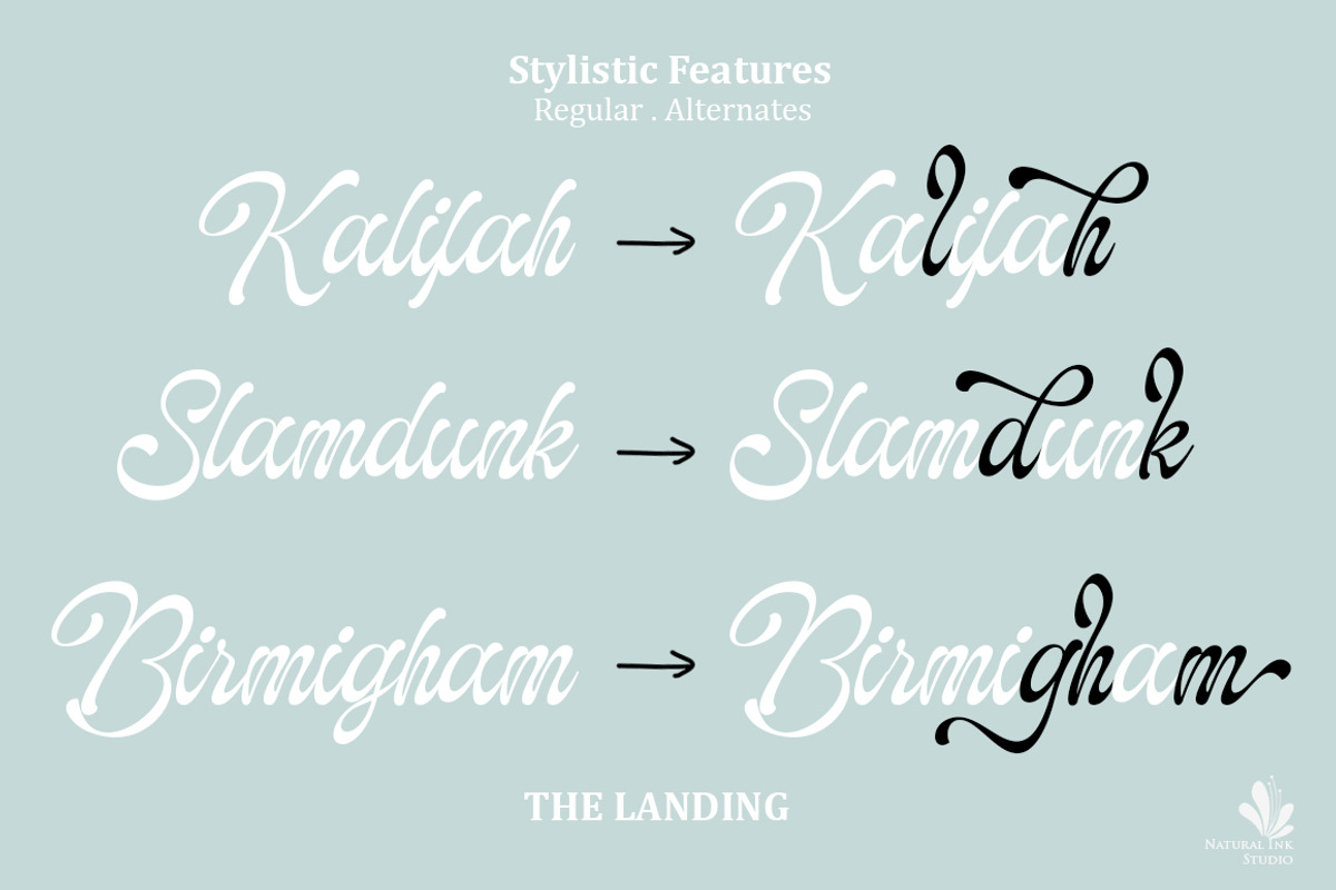 The Landing, a Script Font by Natural Ink Studio (Photo 6 of 10)
