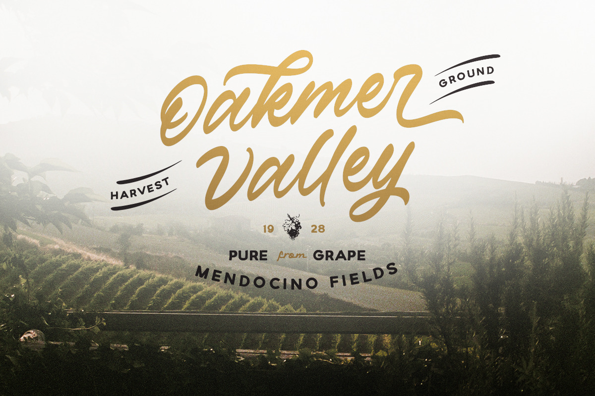 Verdons Wild - Vintage Brush Script, a Script Font by Bale Type (Photo 4 of 10)