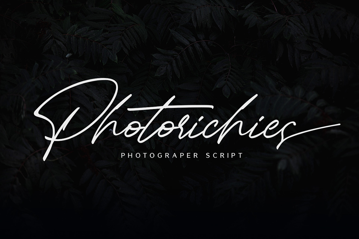 Photoricies - Photographer Script, a Script Font by Almarkhatype (Photo 14 of 14)