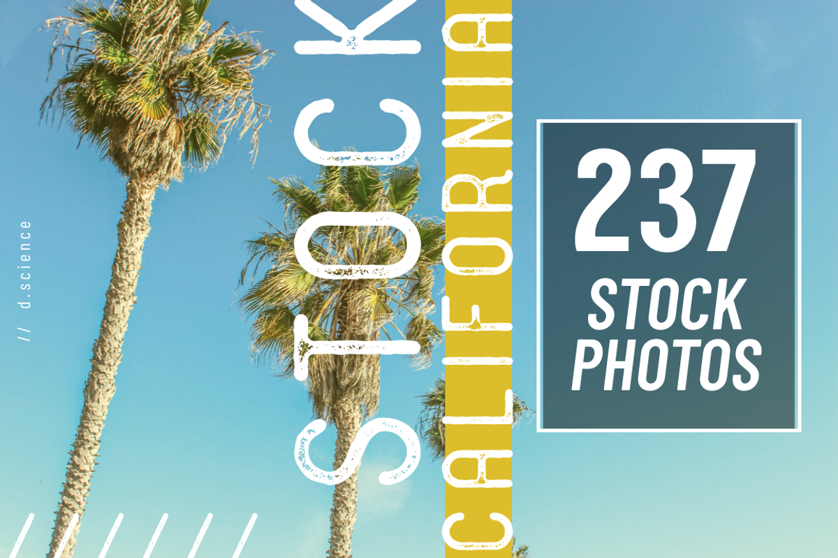 200+ California Stock Photo Bundle, a Business Photo by Template Monkey @dscience (Photo 4 of 38)
