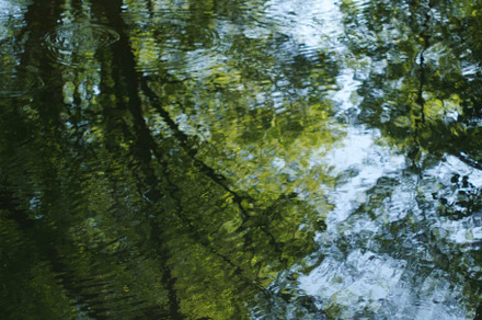Morning bokeh containing high resolution, photo, and background