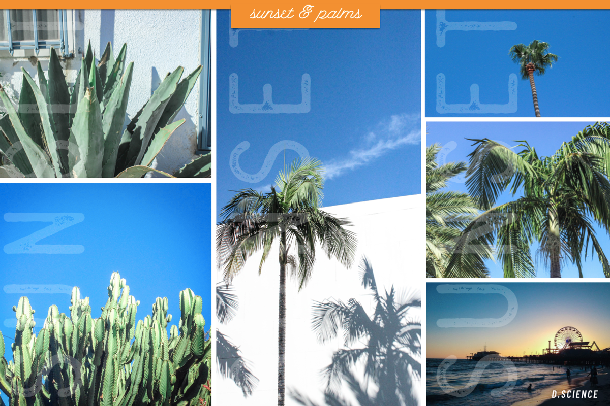 Sunset & Palm Trees Photo Bundle, a Nature Photo by Template Monkey @dscience (Photo 12 of 12)