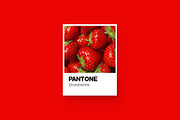Pantone Color Cards Mockup, a Wearable Device Mockup by Pulpixel Design (Thumbnail 10 of 13)