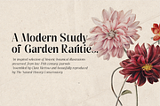 Pure Motif - An Elevated Serif Font, a Serif Font by VP Fonts (Thumbnail 23 of 27)