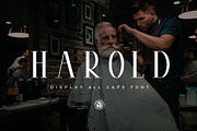 Harold, a Serif Font by Webvilla Studio (Thumbnail 1 of 7)