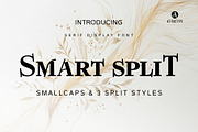 Smart Split - Bold Serif Smallcaps, a Serif Font by Attractype (Thumbnail 1 of 7)