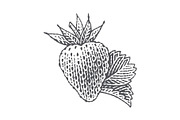 Strawberry and Orange, a Food Illustration by Irina Trusova (Thumbnail 5 of 5)