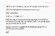 Maroon And Black, a Sans Serif Font by Areatype (Thumbnail 11 of 15)