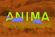 Rono - a Unique Modern Sans Serif, a Sans Serif Font by ethylene.creative (Thumbnail 6 of 9)