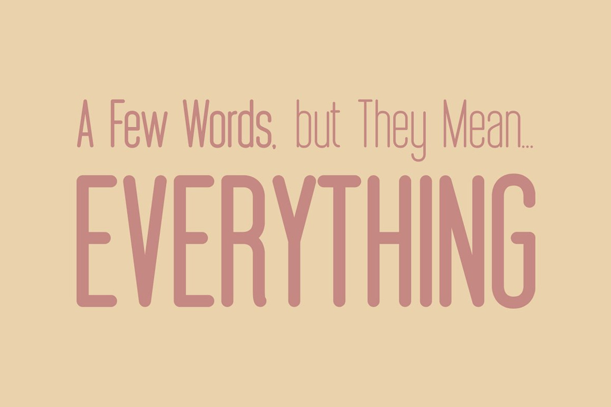 Braden Sans Font Family preview 6