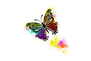 Graphic Butterfly With Colored Blots