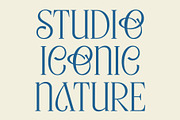 CS Origine – Elegant Serif Font, a Serif Font by Craft Supply Co. (Thumbnail 5 of 8)