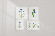 Wildflowers stories, an Illustration by Visual Animal (Thumbnail 4 of 7)