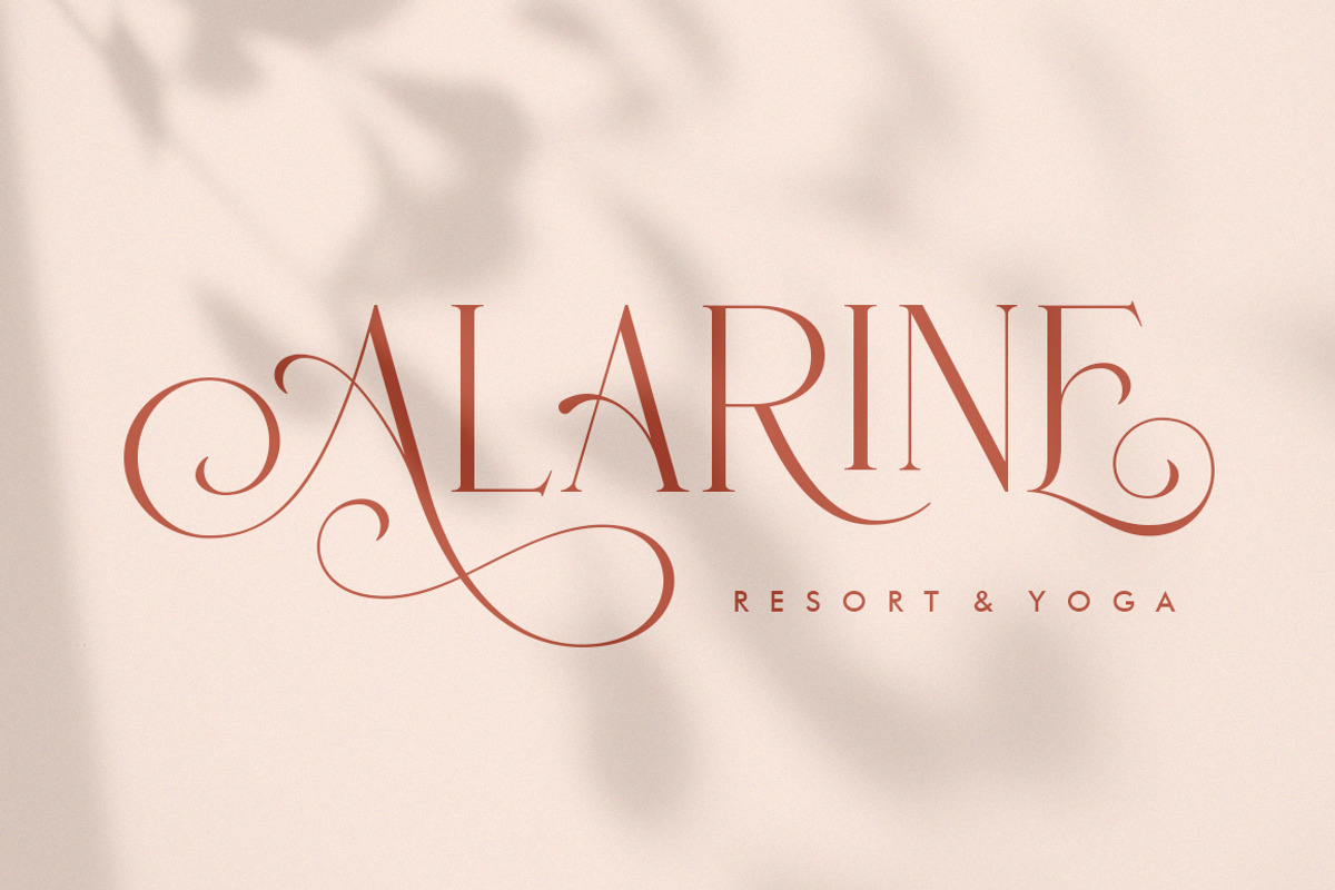 Nirotica, a Serif Font by TRF Fonts (Photo 2 of 19)