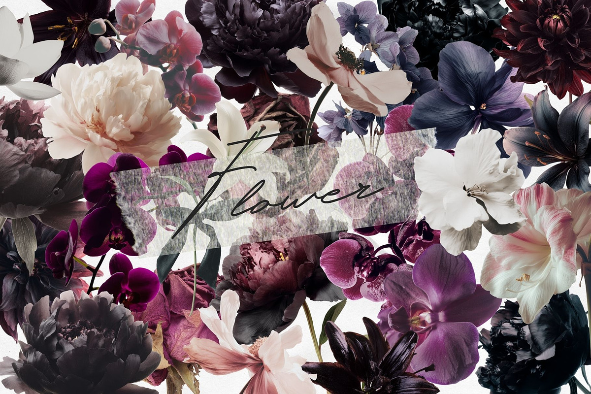 Dark Soul Collage Collection, an Object Graphic by VirinaDesign (Photo 3 of 11)