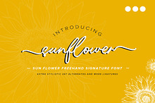 Sunflower | Freehand Signature Font