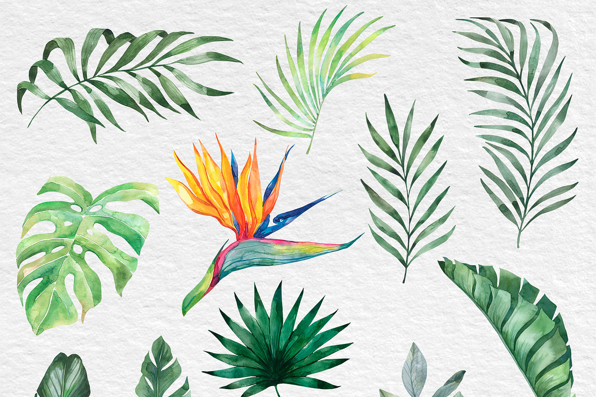 Watercolor Tropical BIG BUNDLE PNG, a Seasonal Illustration by PatternPalette (Photo 3 of 15)
