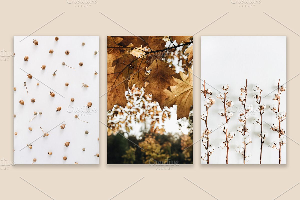 Fall Collection 2, a Beauty & Fashion Photo by Floral Deco (Photo 5 of 7)