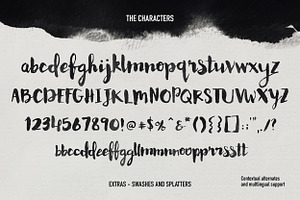 Memoire Brush Script Extras