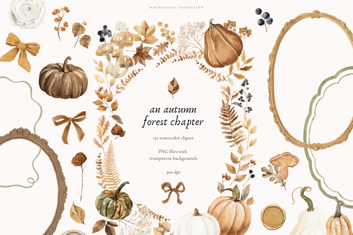 An Autumn Forest Chapter Collection, an Animal Illustration by PeDe Designs (Photo 9 of 29)