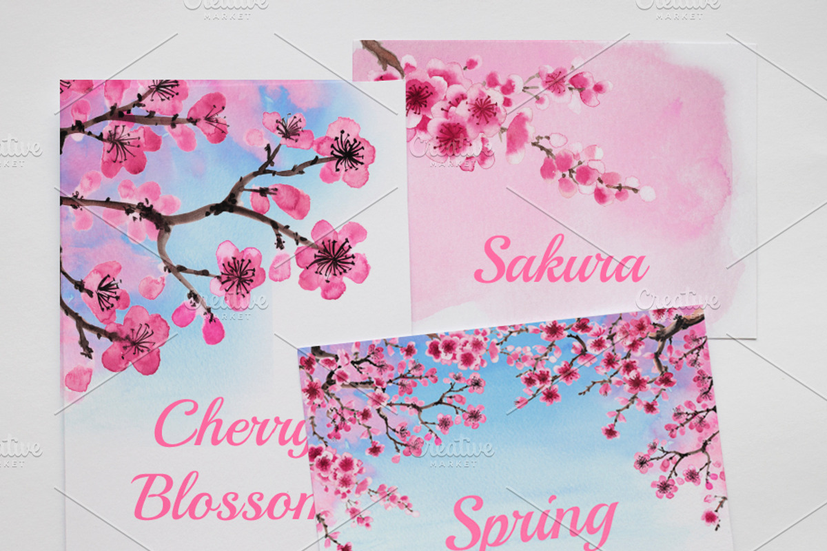 Cherry Blossom Watercolor Collection, a Decorative Illustration by Sveta Aho (Photo 6 of 6)