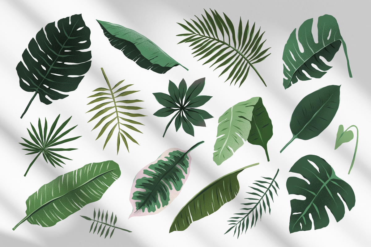 Tropical leaves collection, a Decorative Illustration by Fave Brush (Photo 2 of 2)