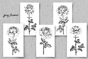 Elegant Roses Arrangements, a Decorative Illustration by Valentyna Smordova (Thumbnail 7 of 13)