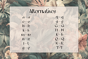 Asteria - Bold San Serif Font, a Sans Serif Font by Kami Alicja (Thumbnail 5 of 8)