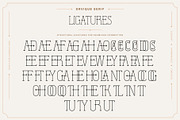 Orvique Serif – Elegant Luxury Font, a Serif Font by Hakara Type (Thumbnail 6 of 10)