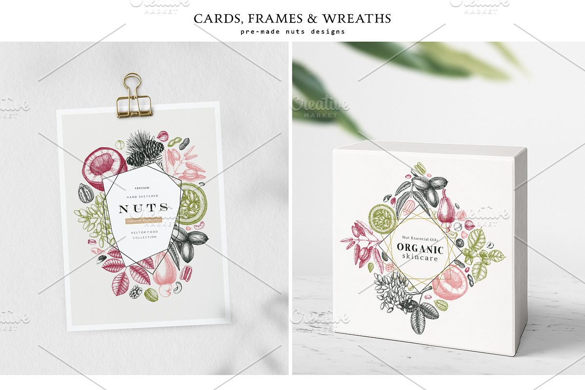 Nuts Hand-Drawn Vector Illustrations, a Food Illustration by Yevheniia (Photo 5 of 15)
