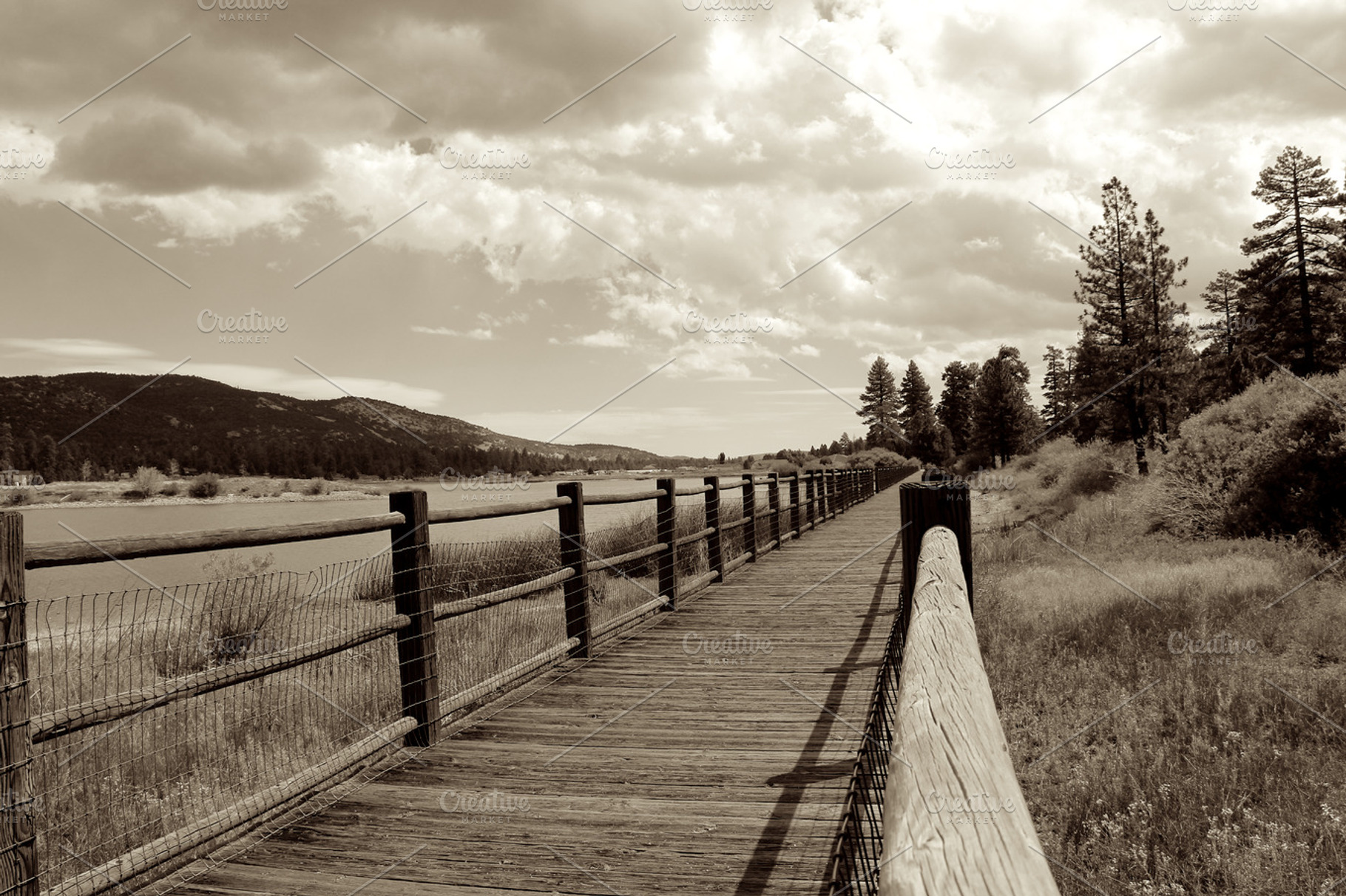 Walking bridge stock photo