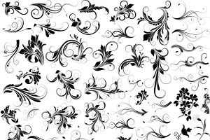 Floral Vectors, PNG & Ps Brushes