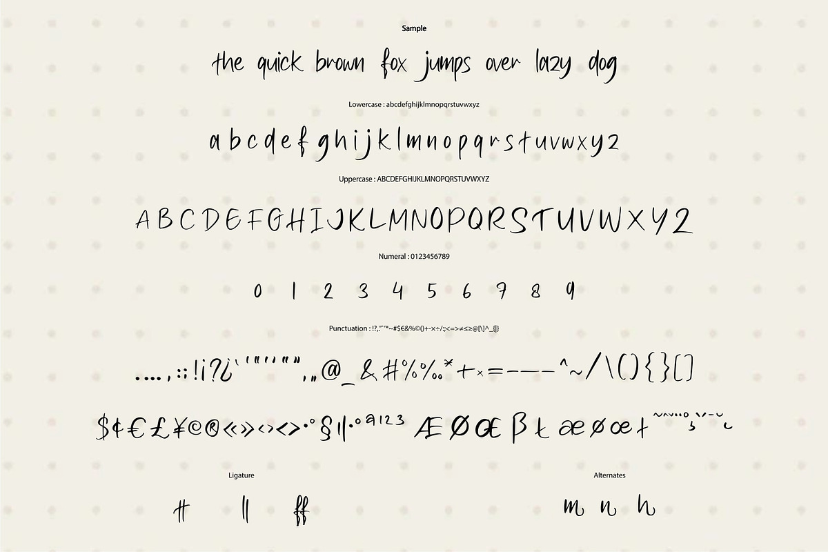 Feskito - Handwritten Font, a Handwritten Font by VUNIRA (Photo 2 of 6)