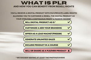 PLR Notion Template Resell Rights