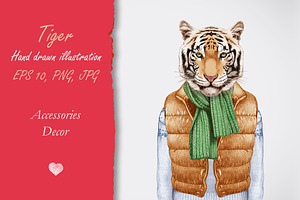 Tiger / Winter time