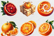 Watercolor Oranges Clipart, an Illustration by Black Bird Studio (Thumbnail 6 of 6)