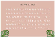 Espoir Serif - Font Family, a Serif Font by Craft Supply Co. (Thumbnail 8 of 11)