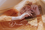 Dream of Spring, a Handwritten Font by BilberryCreates (Thumbnail 6 of 8)
