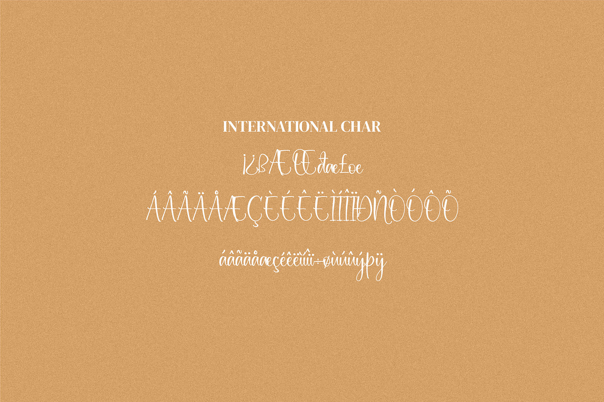 Aichella, a Script Font by Integritype Studio (Photo 10 of 11)