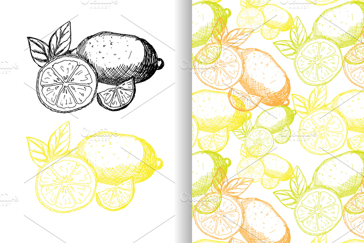 Hand Drawn Lemons, a Food Illustration by Sunset&Sea Design