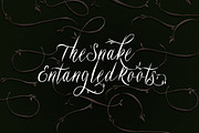 Belukar - Unique Display Script, a Script Font by Letterhend Studio (Thumbnail 7 of 9)
