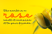 Cinthia, a Script Font by almazstudio (Thumbnail 4 of 10)