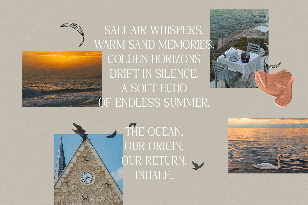 Ardellea, a Serif Font by din-studio.com (Photo 4 of 16)