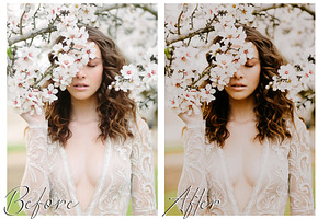 MOODY SPRING LIGHTROOM PRESETS