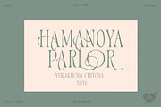 TAN - Variety, a Serif Font by TanType (Thumbnail 13 of 26)
