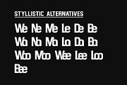 Raspberry Sturdy Typeface, a Sans Serif Font by Design Stag (Thumbnail 4 of 6)