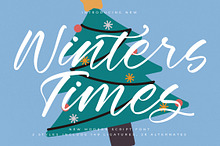 Winters Times New Modern Script Font