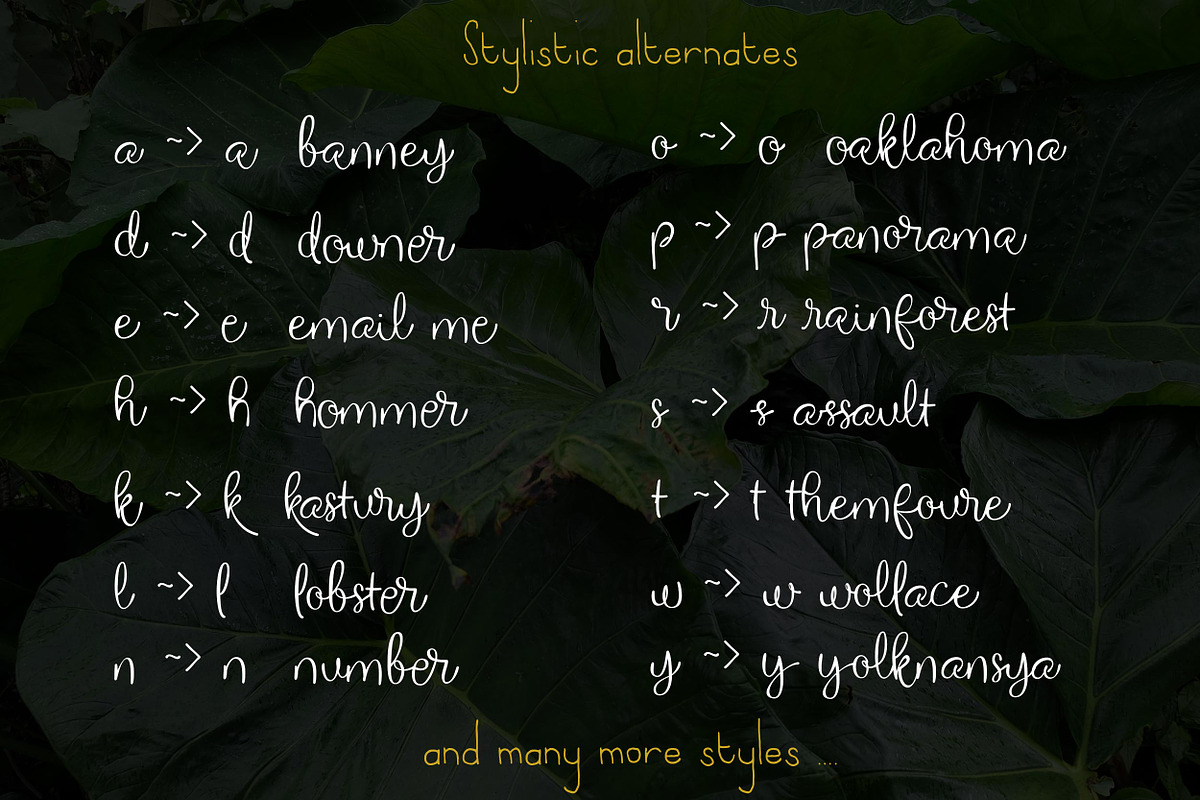 The Willyst, a Script Font by greatypes studio (Photo 10 of 14)